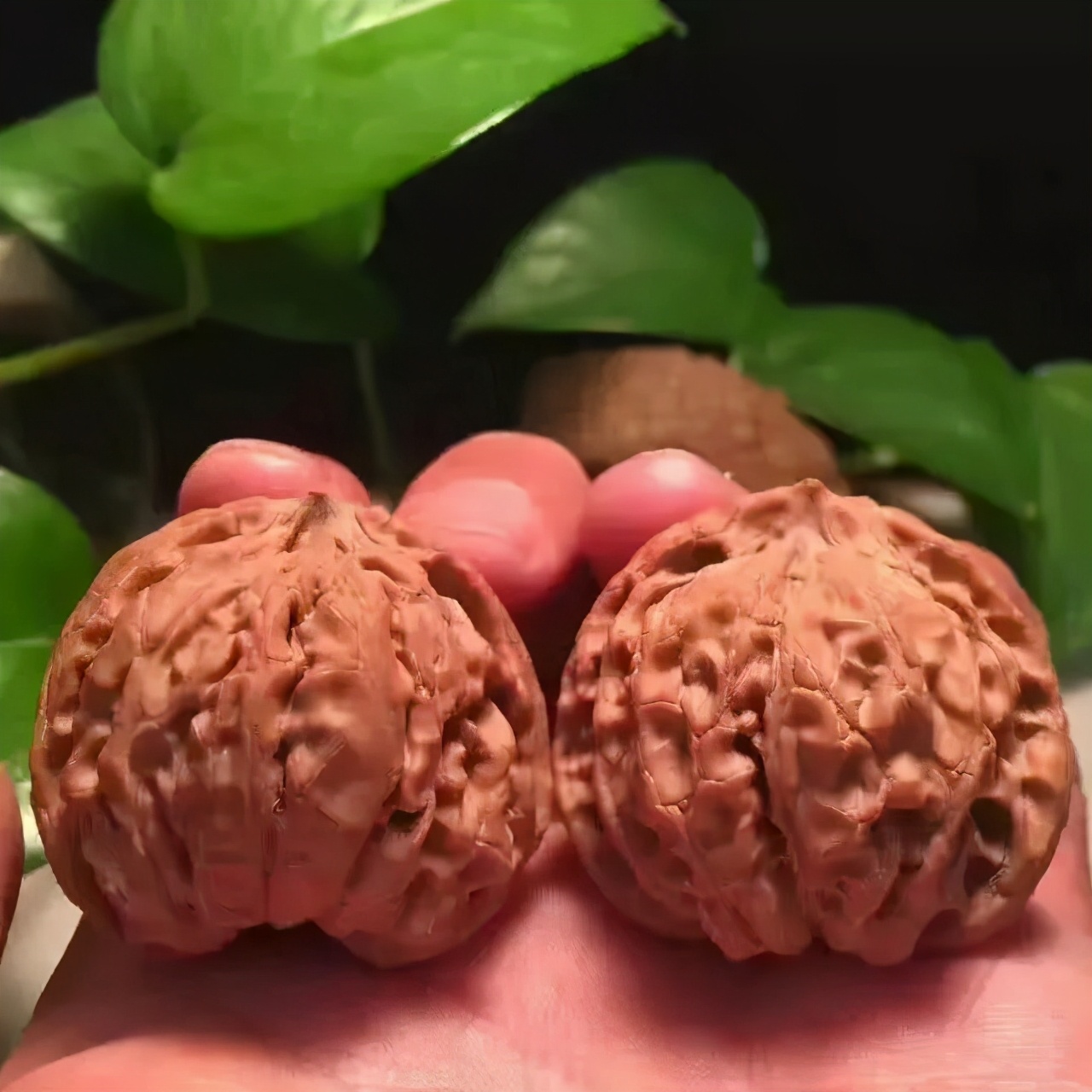 上色核桃怎么盘玩,核桃上色方法视频教程