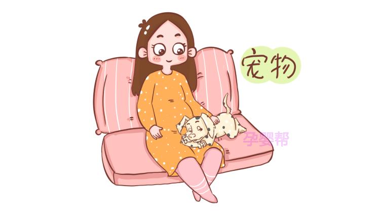 孕期养宠物到底该不该养,家里养宠物在孕期有影响吗