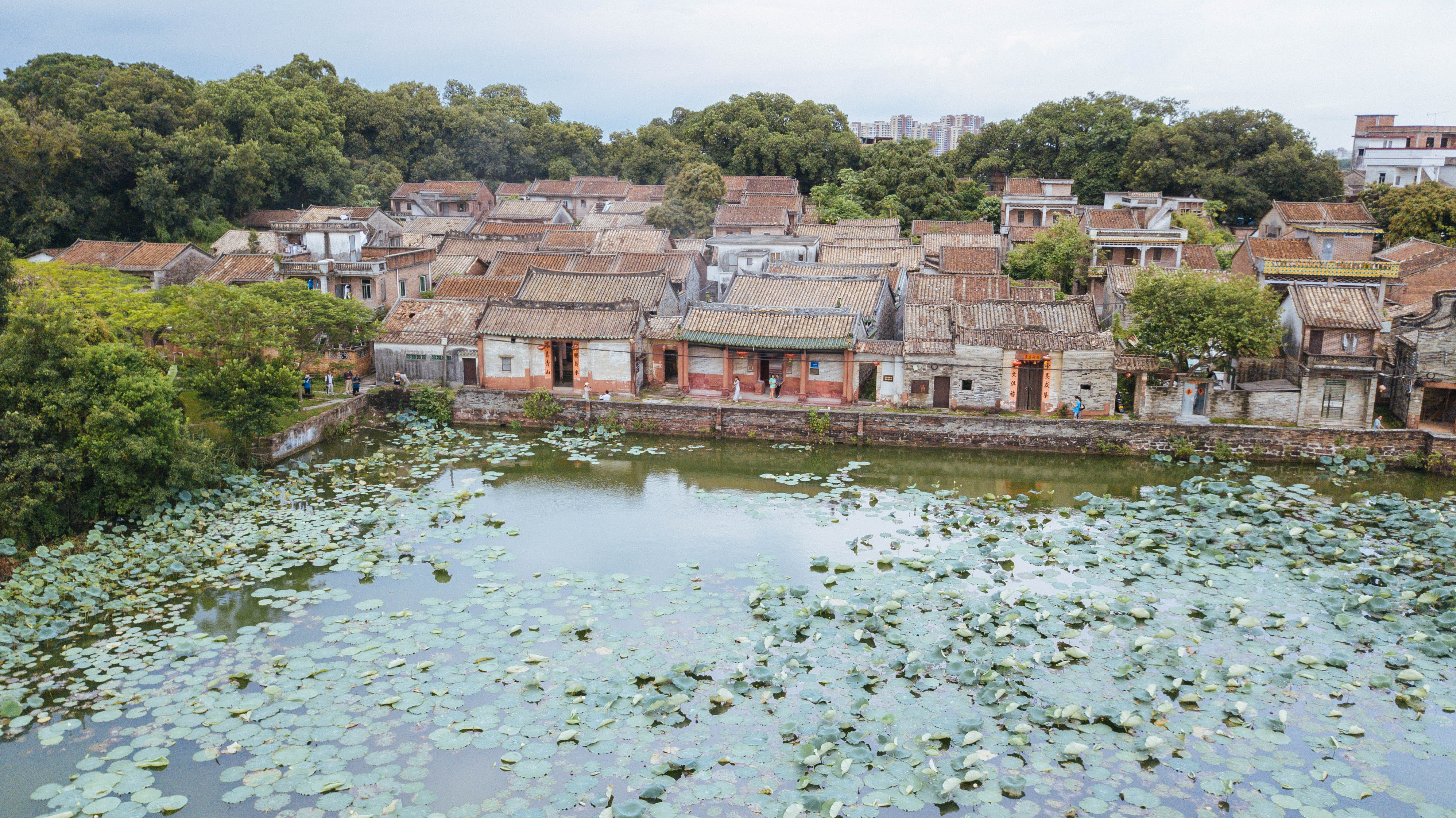 樟木头旅游酒店哪家好,樟木头住宿哪里最好