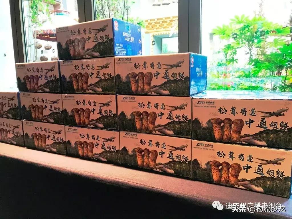 敢为天下鲜！中通快递发布2019年「香格里拉松茸」寄递方案