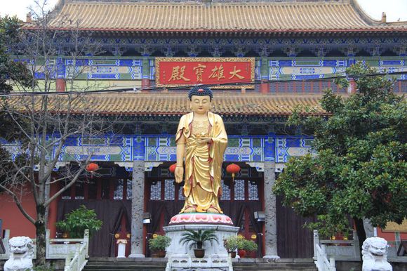 合肥市网红游玩区,合肥网红景点推荐