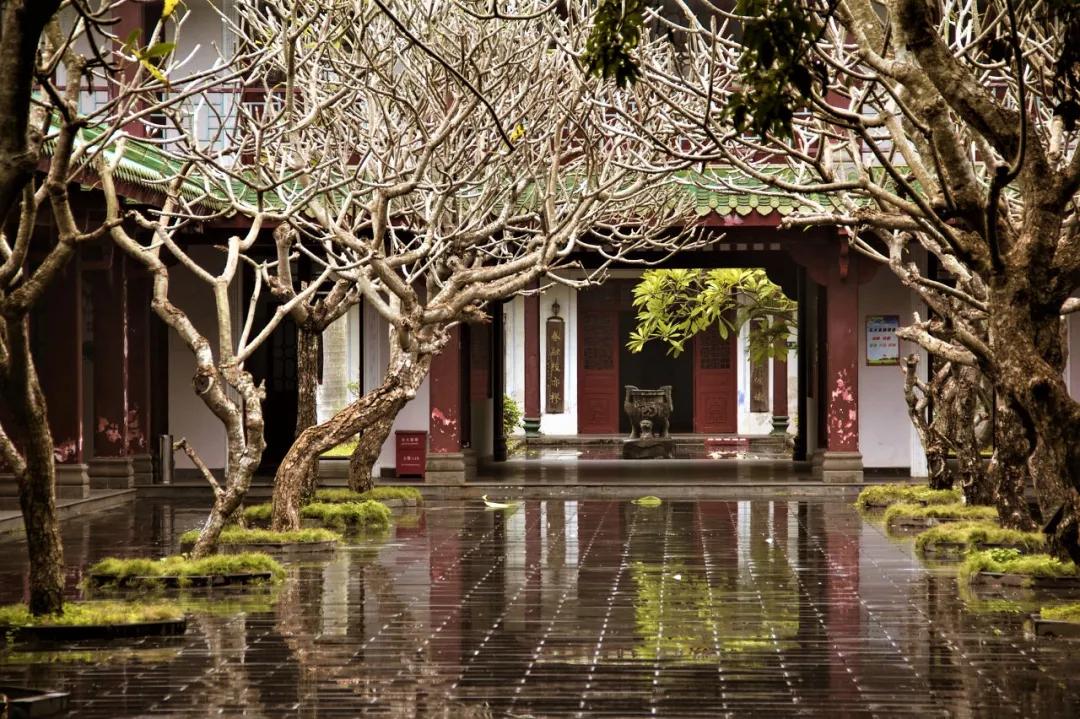 秋日citywalk好惬意,秋日最美citywalk