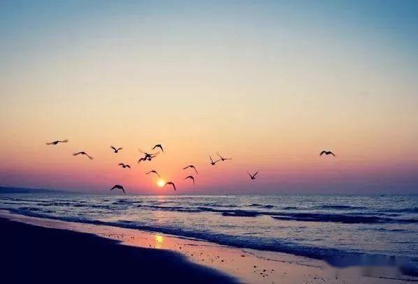 小聪明与大智慧书,小聪明与大智慧名人佳句