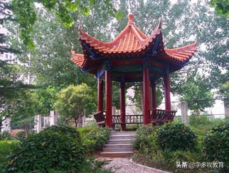 新乡市真“中”高中,每年几千人考上一本