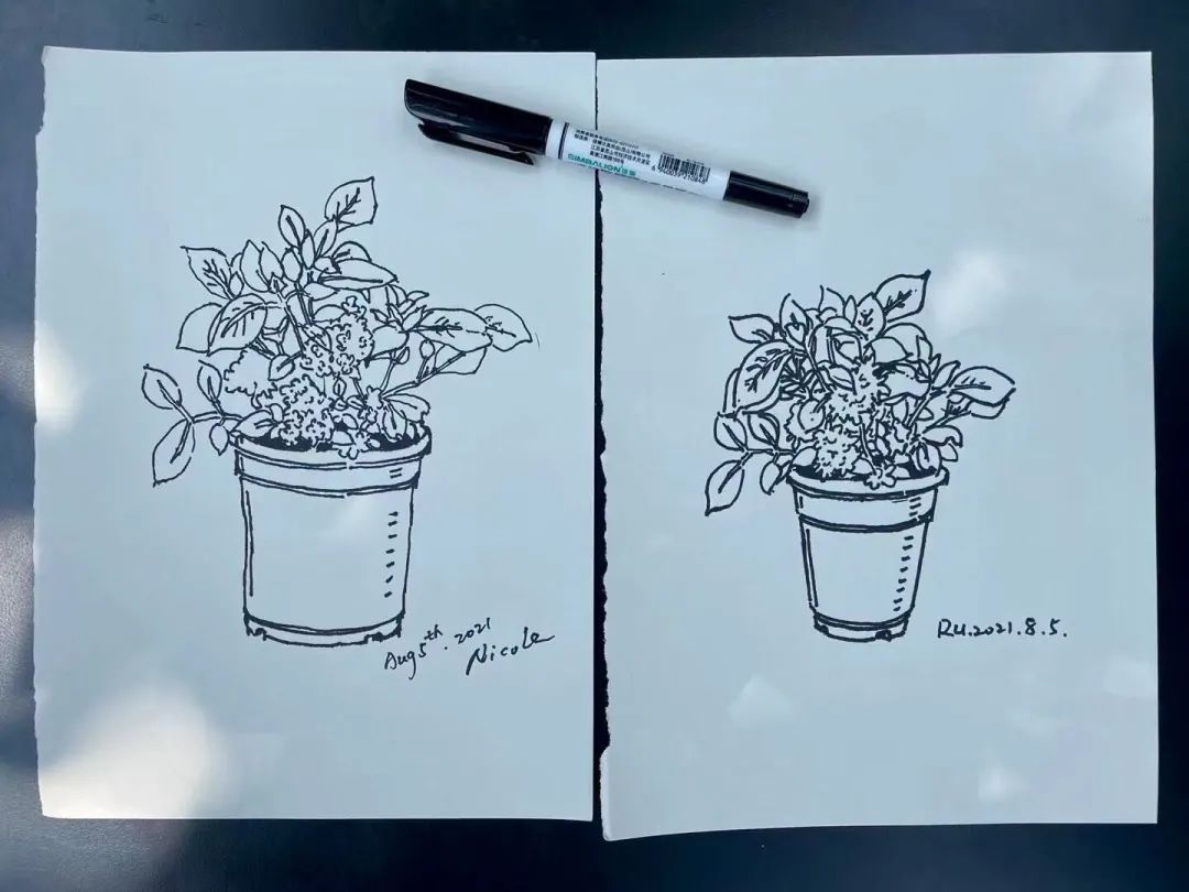 七夕仲夏夜|星空晚宴×丹青情书×入梦山水……雾灵山居C位浪漫