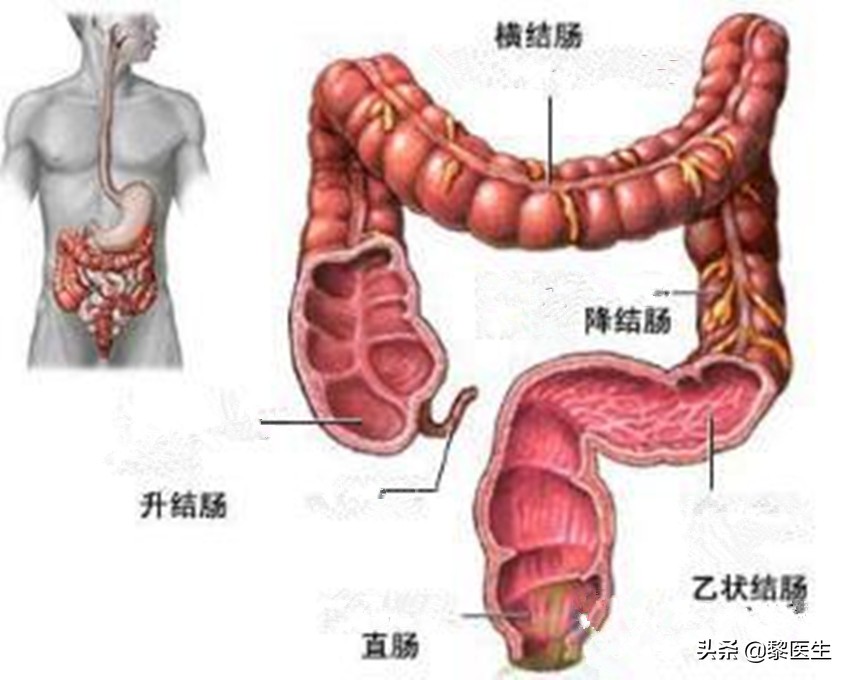 小肠恶性肿瘤跟直肠癌的区别,小肠癌小肠肿瘤的症状