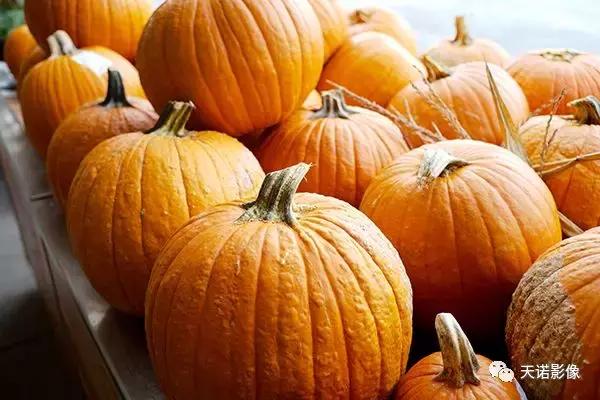 徕卡m10p电影摄影评测,徕卡相机m10r评测