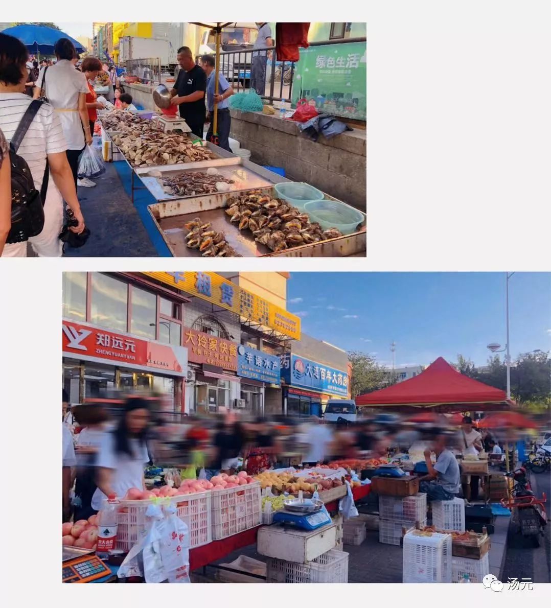 别·浪|No.6中国英国买菜大作战——逛逛英国“菜市场”