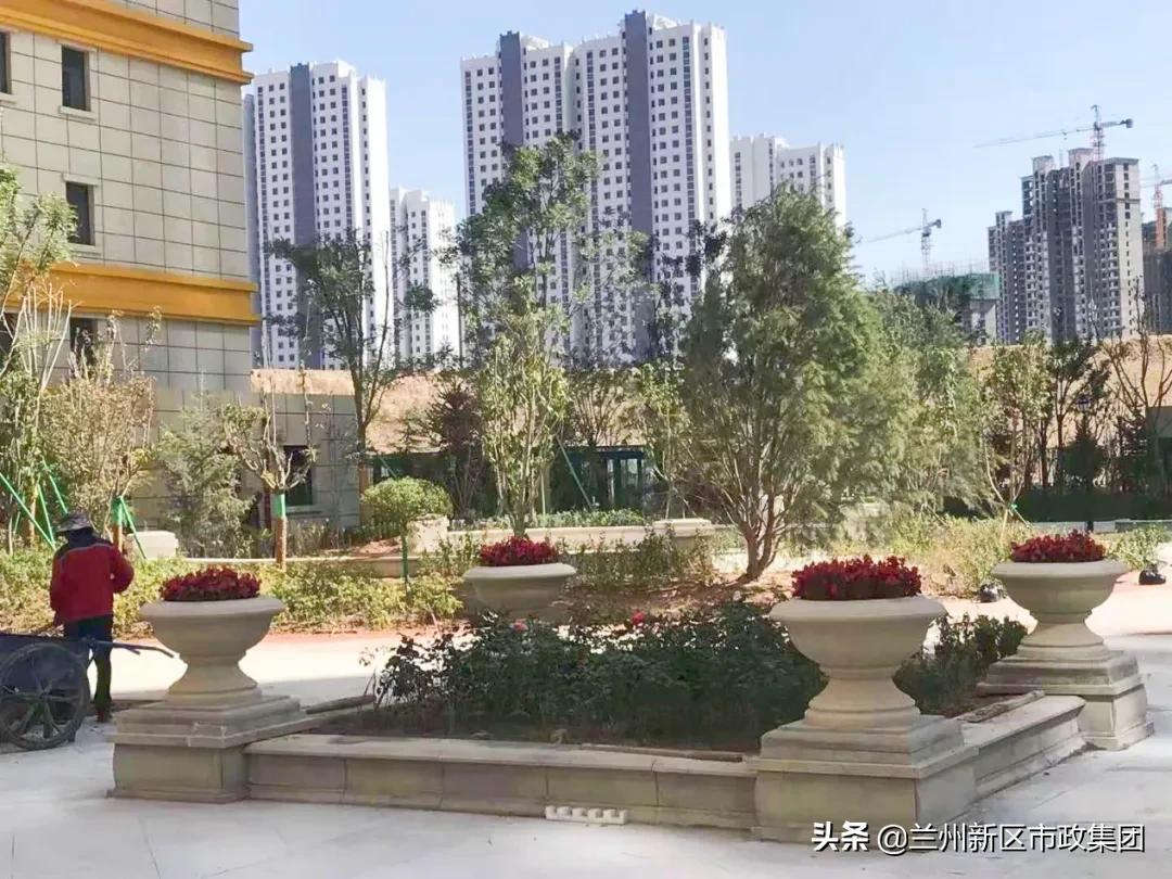 鍏板窞鏂板尯涔惧厓閲戞捣鍥介檯鍥灄缁垮寲,鍖犲績甯傛斂