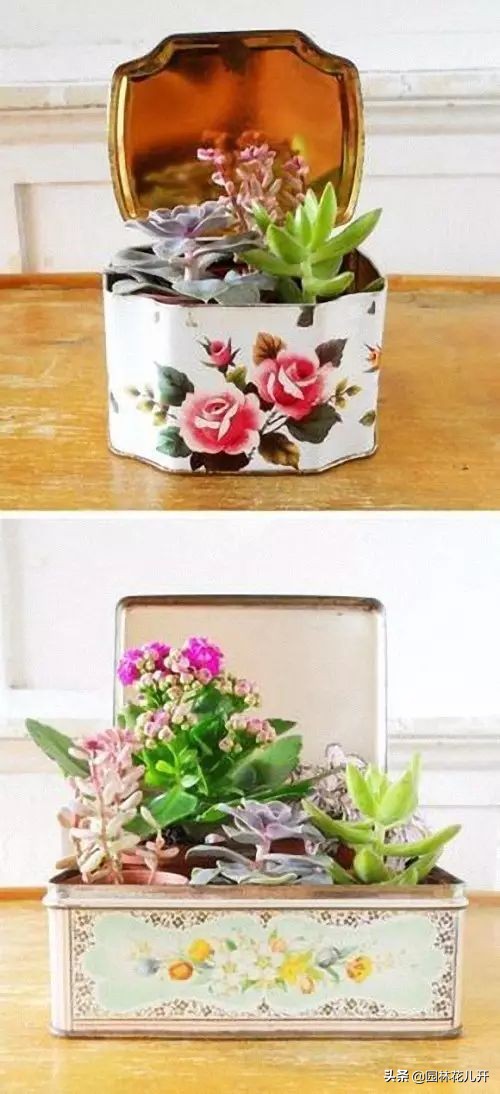 创意花盆简单制作方法,居家花盆