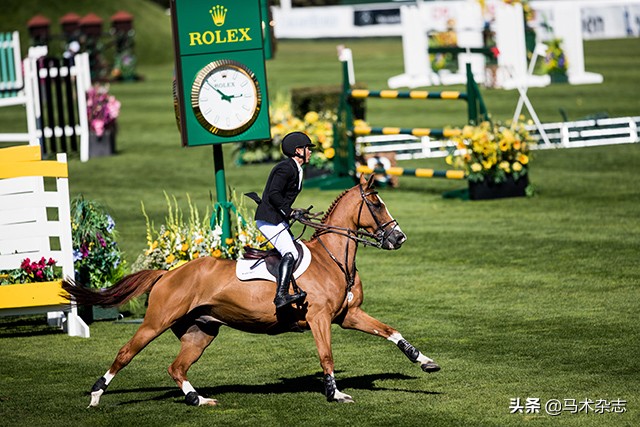 什么！听说几天后云杉草地将会上演一场冠军“厮杀”?