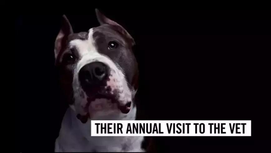 广告的灵魂是什么,看了这些作品你领悟到了什么