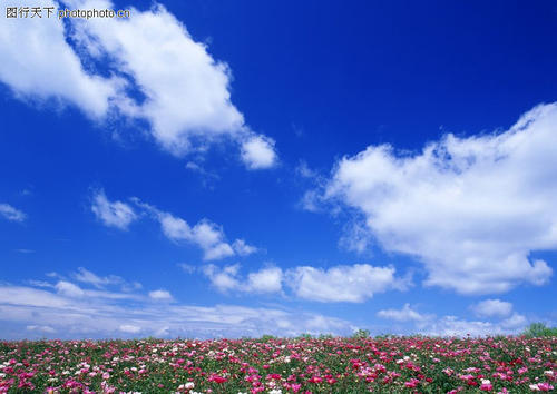 严紧细实,宁夏迎战新冠肺炎疫情大考——压实责任早隔离