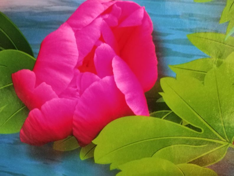 读毛主席语录有感