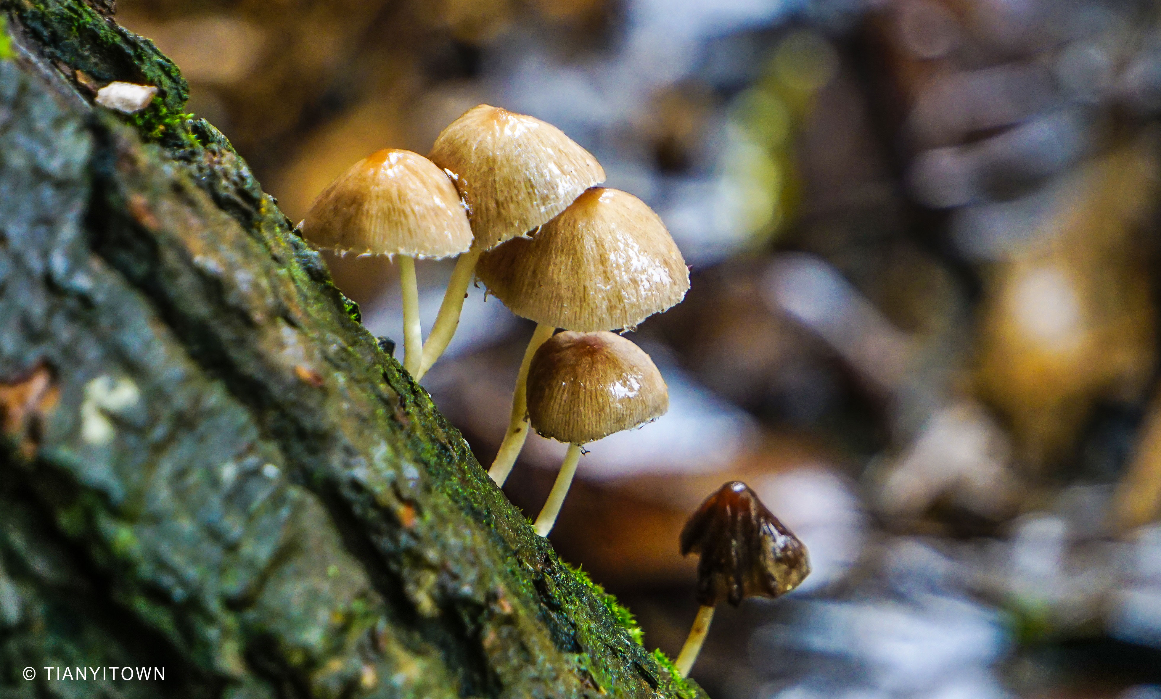 芒种时节播种幸福,芒种一个收获的时节