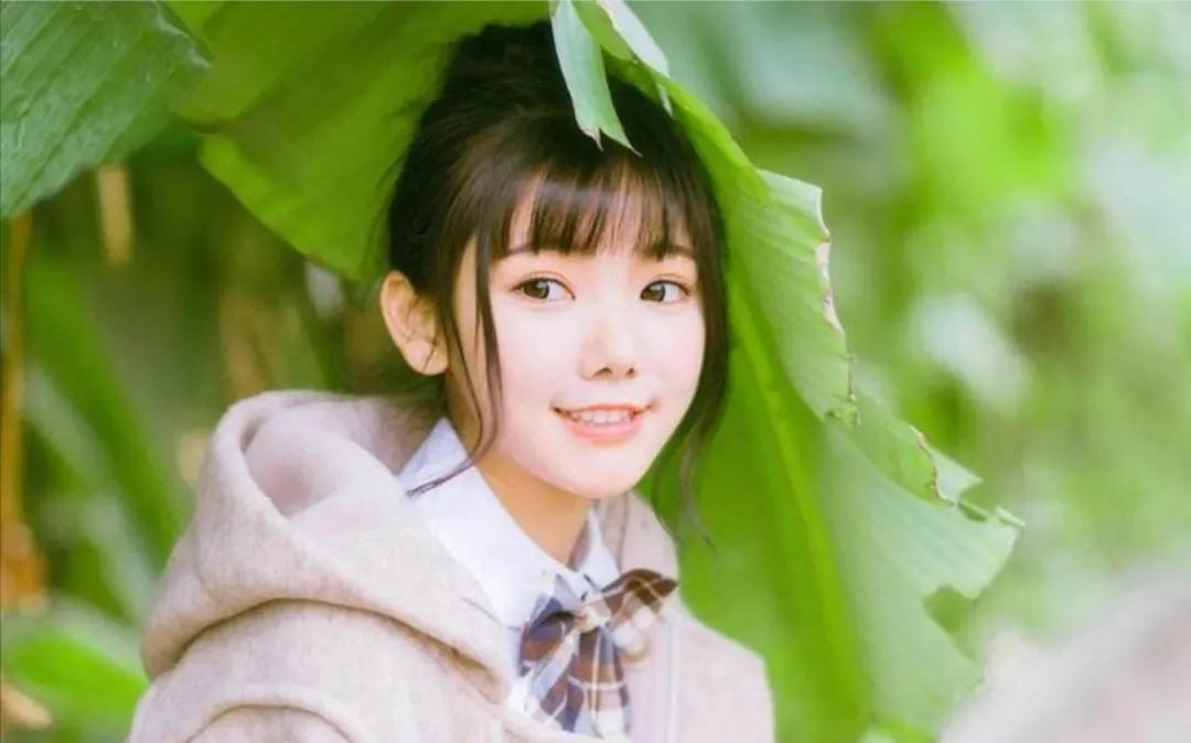 文笔好的华娱文完本,书荒好看剧情新颖小说推荐