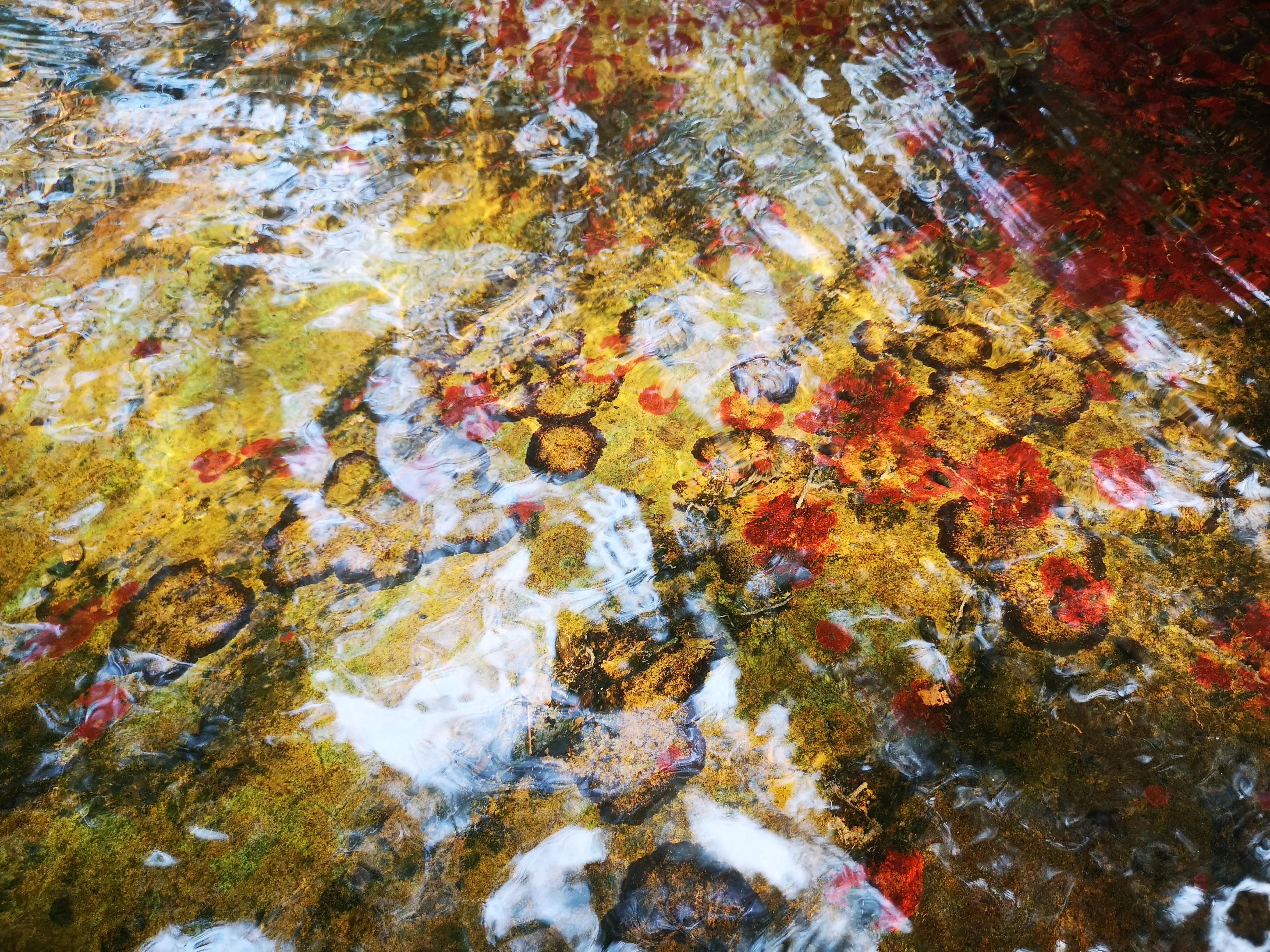 溧阳南山竹海小鸟天堂,宜兴南山竹海和溧阳南山竹海