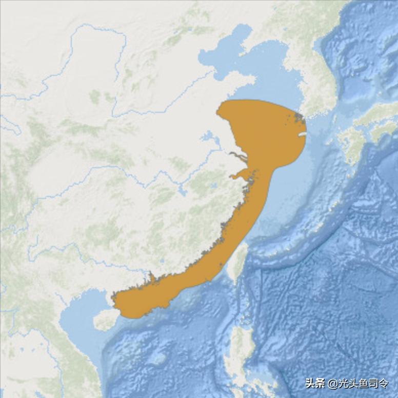 黄鱼的哭声真实视频,大黄鱼的悲惨下场