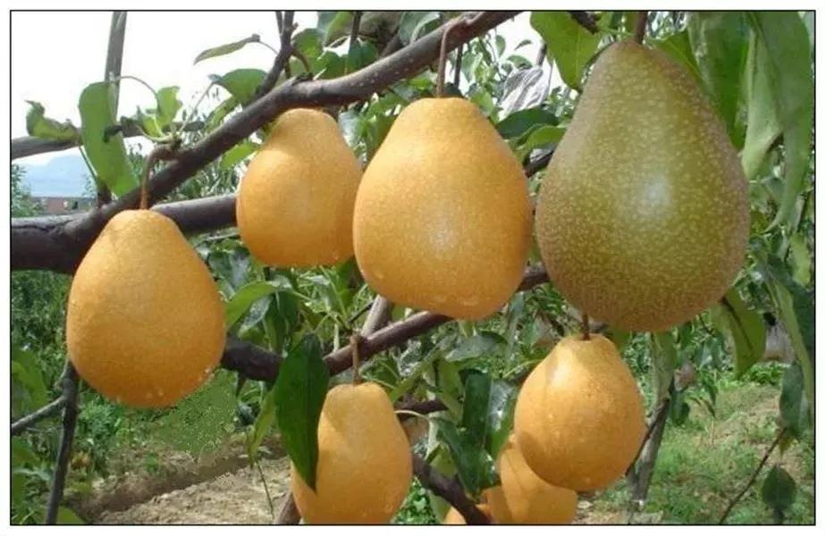 待疫情过后我们一起去南昌,疫情期间建议坐高铁出行