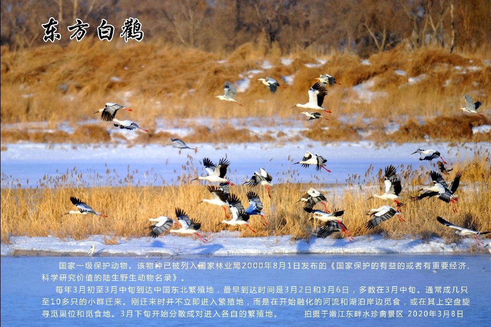 榻愰綈鍝堝皵瀚╂睙涓滄按鐝嶇鍏洯,榻愰綈鍝堝皵瀚╂睙涓滄按鐝嶇婀垮湴鍏洯