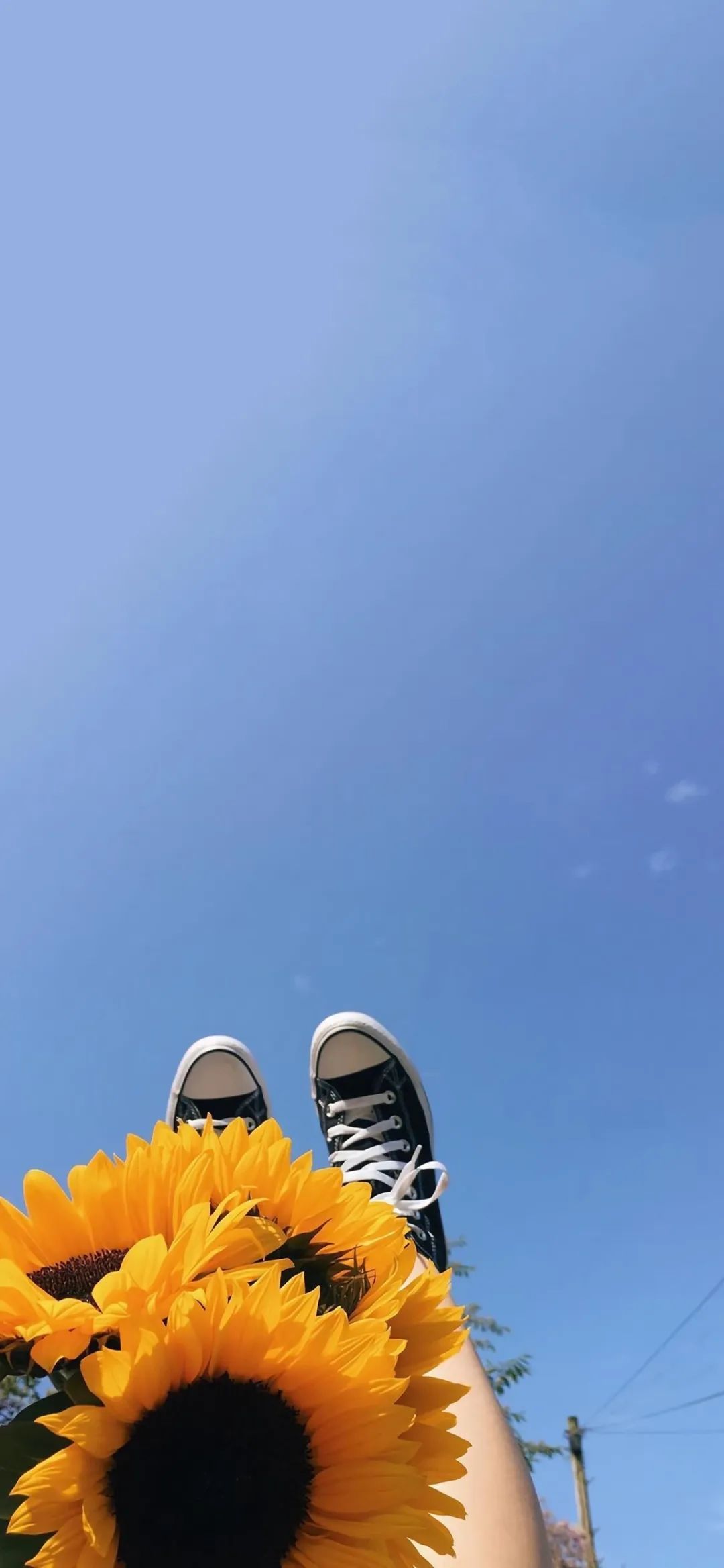 洒脱逍遥壁纸,手机壁纸自由洒脱