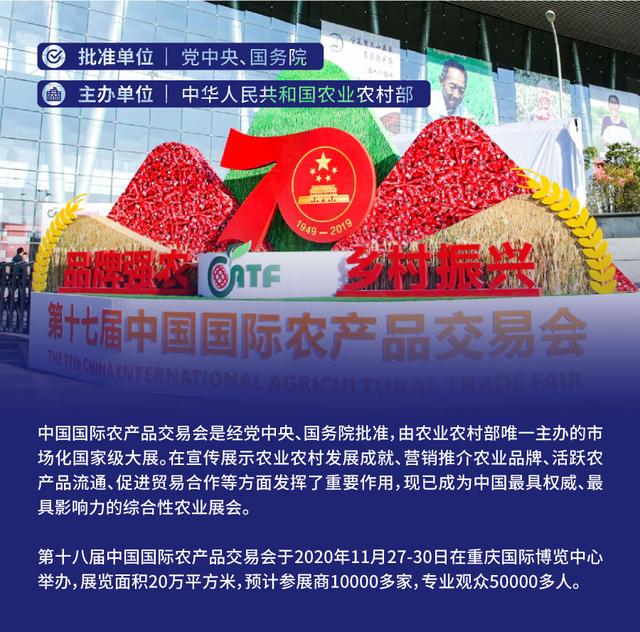中国草莓第一县在东港哪个城市,东港市支柱产业草莓