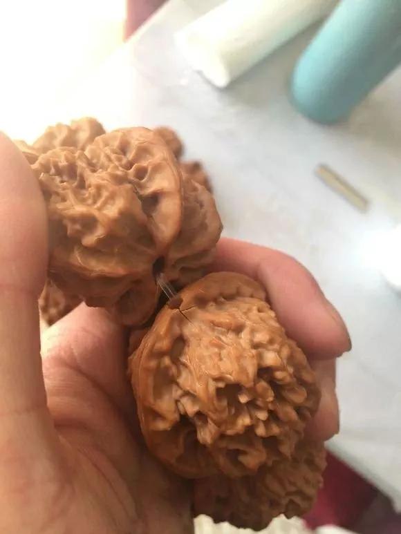 文玩核桃尾鳍开裂,文玩核桃为什么会开裂