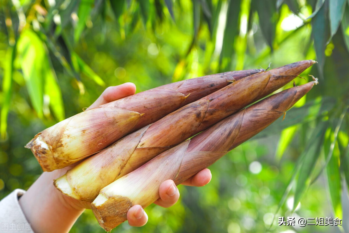 春笋味道鲜美但这几类人不宜多吃,吃春笋有啥禁忌没