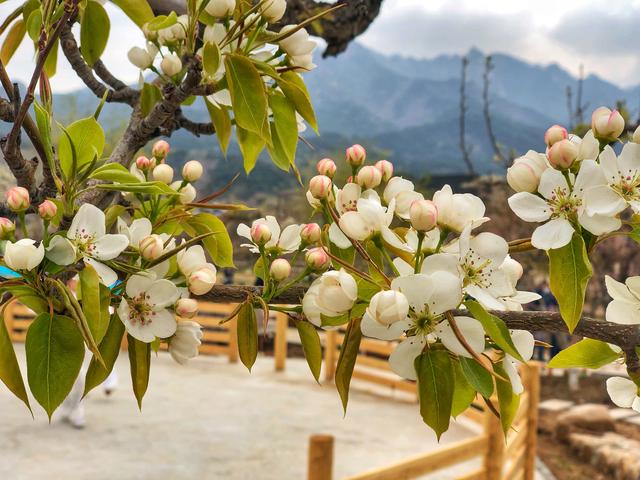 泡温泉鞍山好玩的地方推荐,鞍山温泉好玩的地方推荐