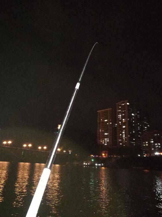 本汀神鹤战斗8.1测试,本汀神鹤爆强硬测评科学钓鱼