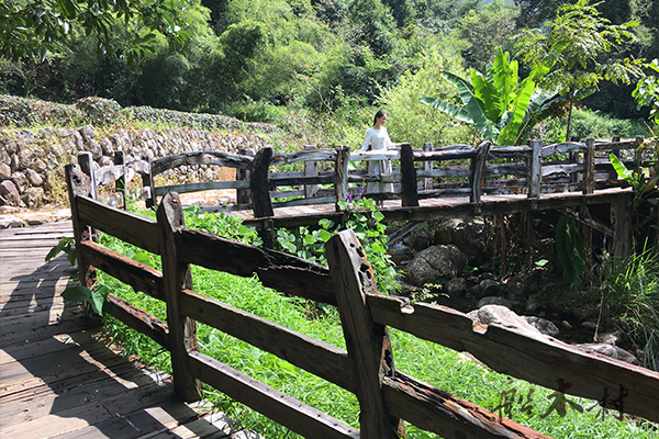 船木家具视频大全,明清家具沙发茶几图片大全