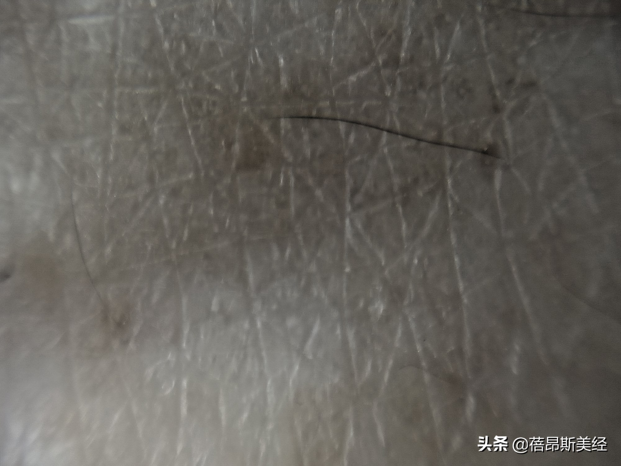 女生平价又好用的神仙水,神仙水有哪些适合敏感肌肤