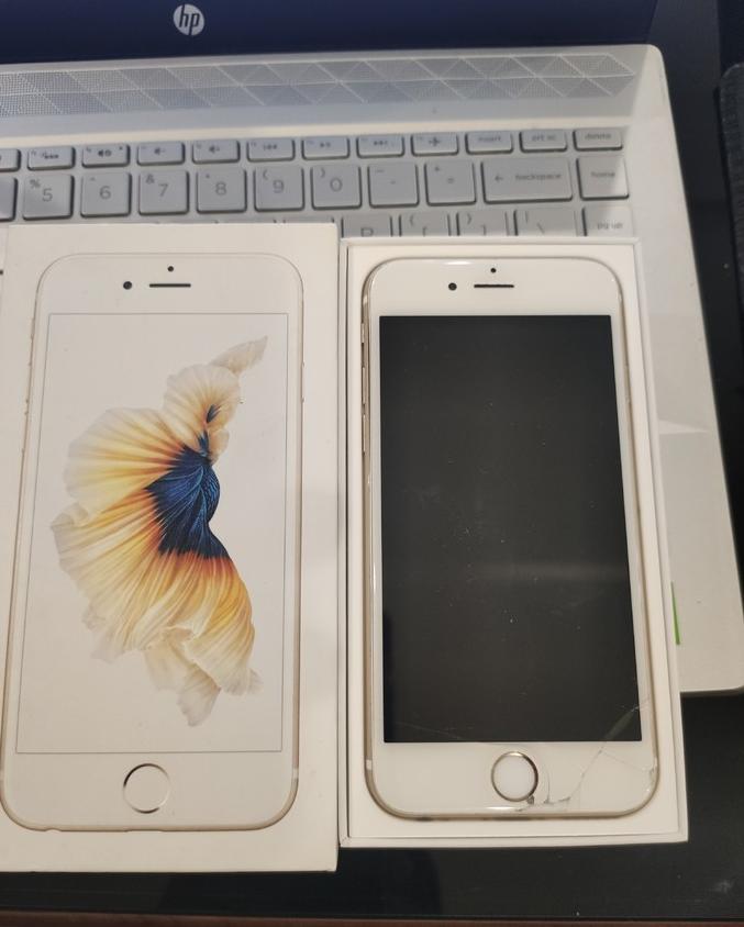 致我们终将逝去的青春下载,致我们终将逝去的青春70年代