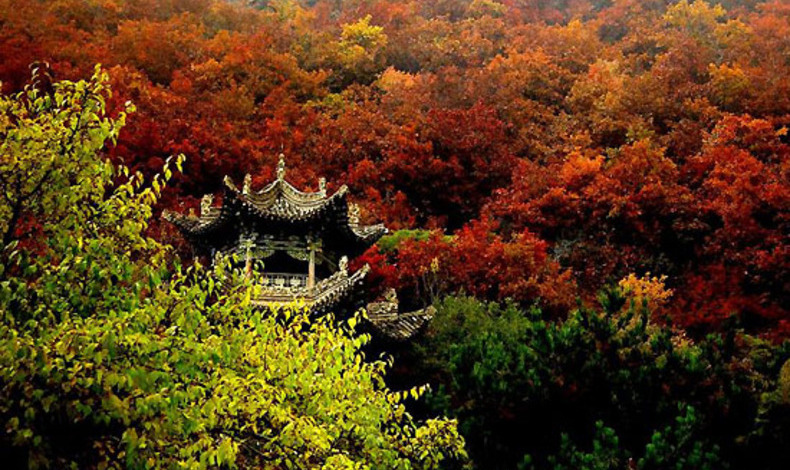 新疆地理历史文化常识,陕西人文历史地理常识