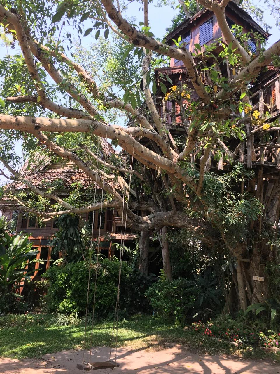 泰国有多好玩,泰国有什么好玩的东西