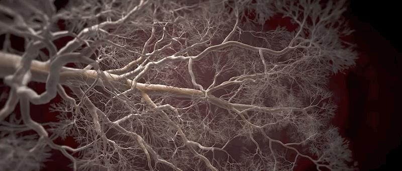 哮喘的发病原理,哮喘科普文章作品简介