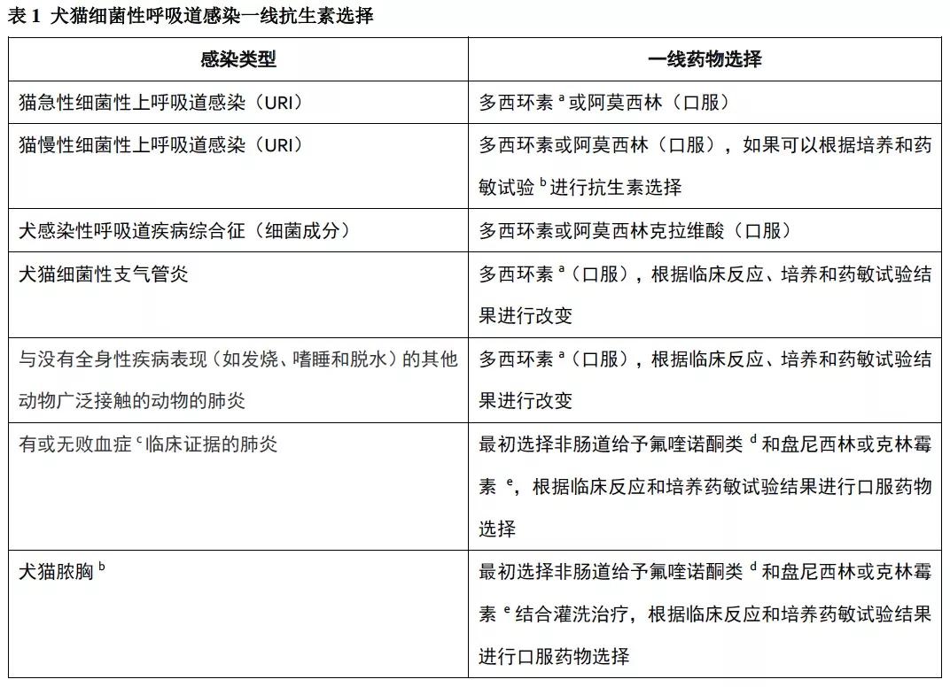 犬猫怎么用抗生素,治疗猫犬的药和针剂