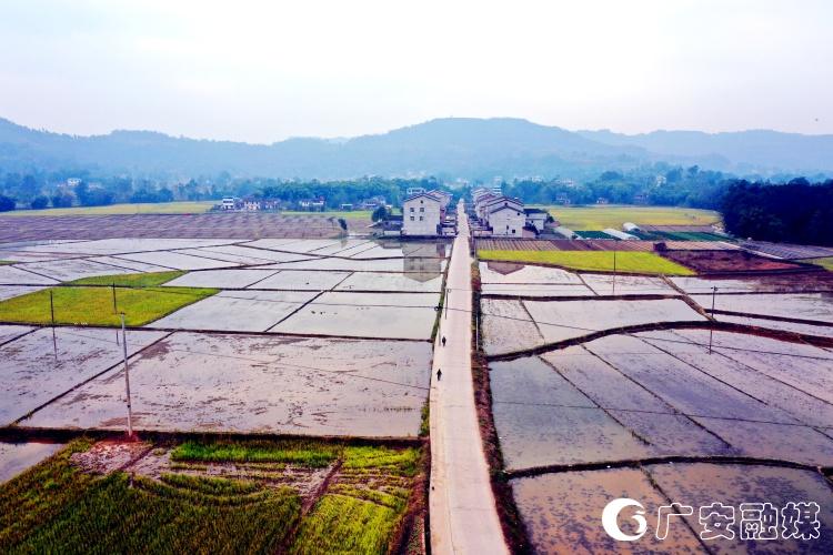 乡村振兴中心镇建设,花桥乡村振兴