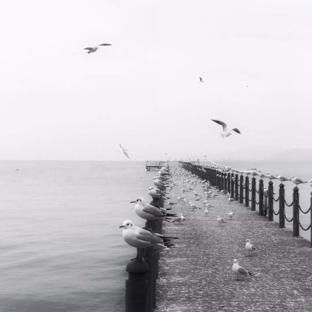 iphone手机相机的各个功能介绍,新手iphone使用注意事项