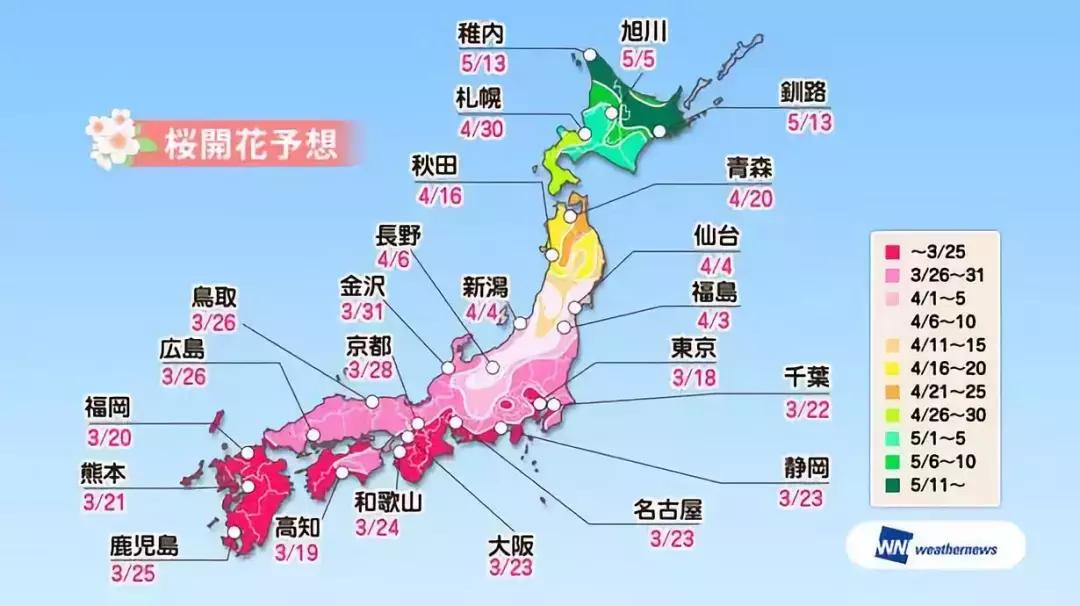 日本樱花季具体时间,日本樱花几月份去最好