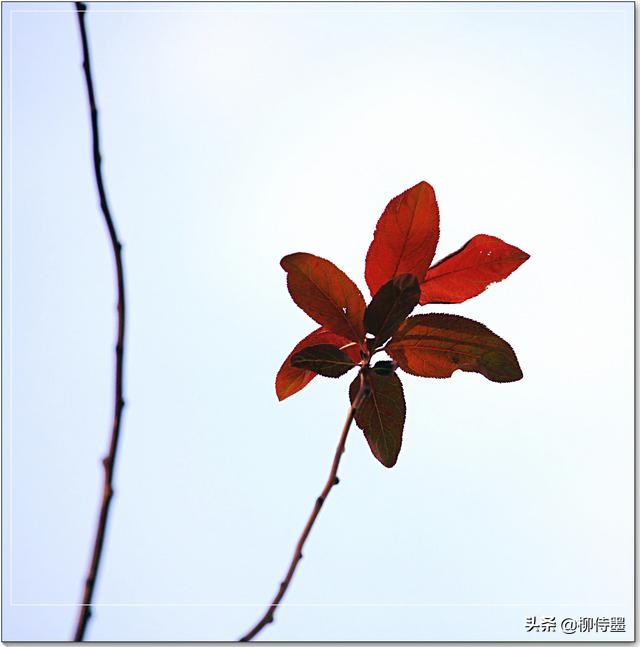 摄影新手如何拍摄照片教程,新手学习摄影入门第一步