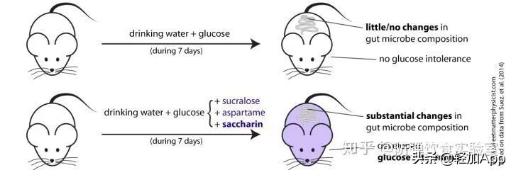 糖友可以吃的代糖无添加,哪些代糖是可以吃的