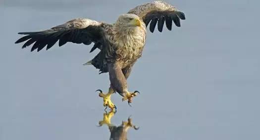 心理素质差遇事紧张心慌如何克服,孩子遇事紧张心理素质差怎么办