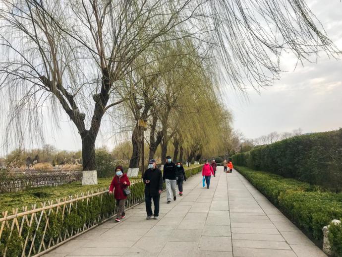 济南天下第一泉风景区开放首日,带你们“云逛”趵突泉、五龙潭……