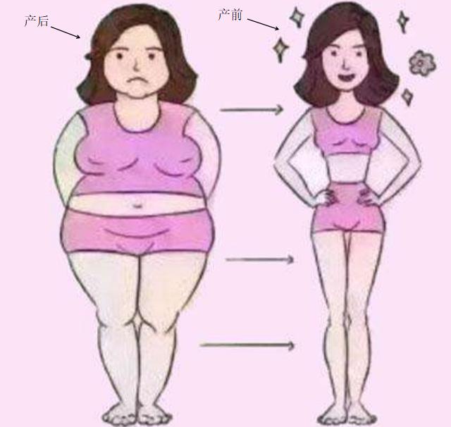 产后如何迅速恢复身材,产后骨盆恢复训练动作
