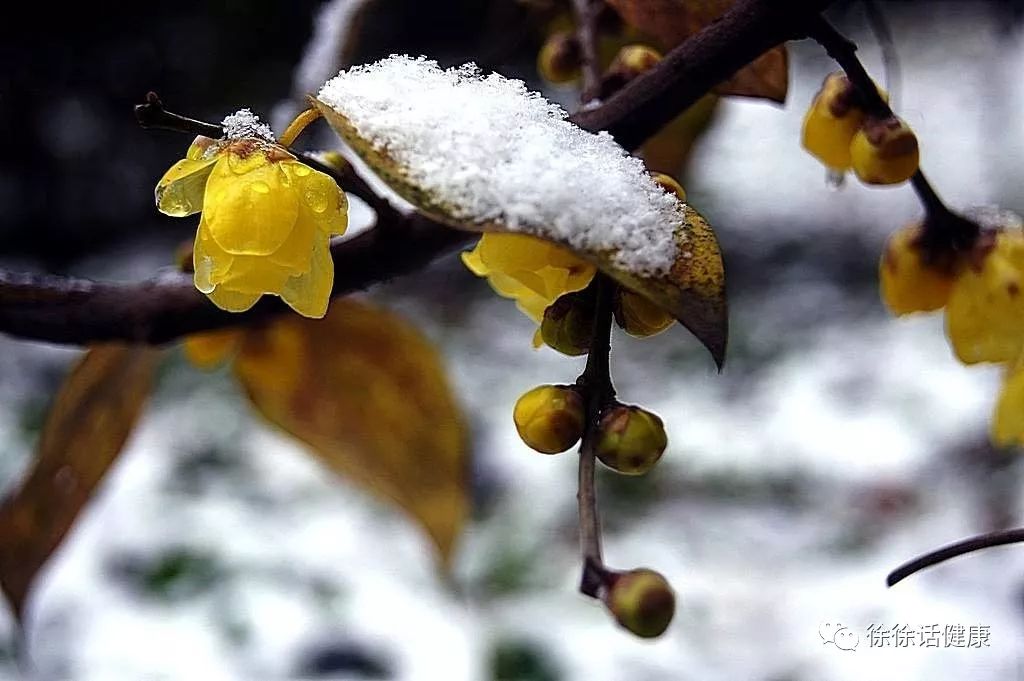 胃寒怕冷胃痛胃里有胀气,胃寒胃痛拉稀怎么办