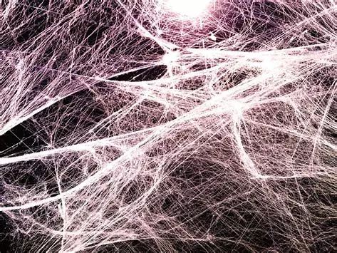 为什么训练前要放松筋膜,训练筋膜怎么训