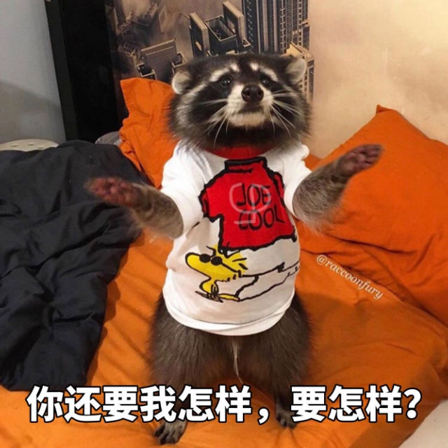 表情包你要哄我,表情包你要对我负责