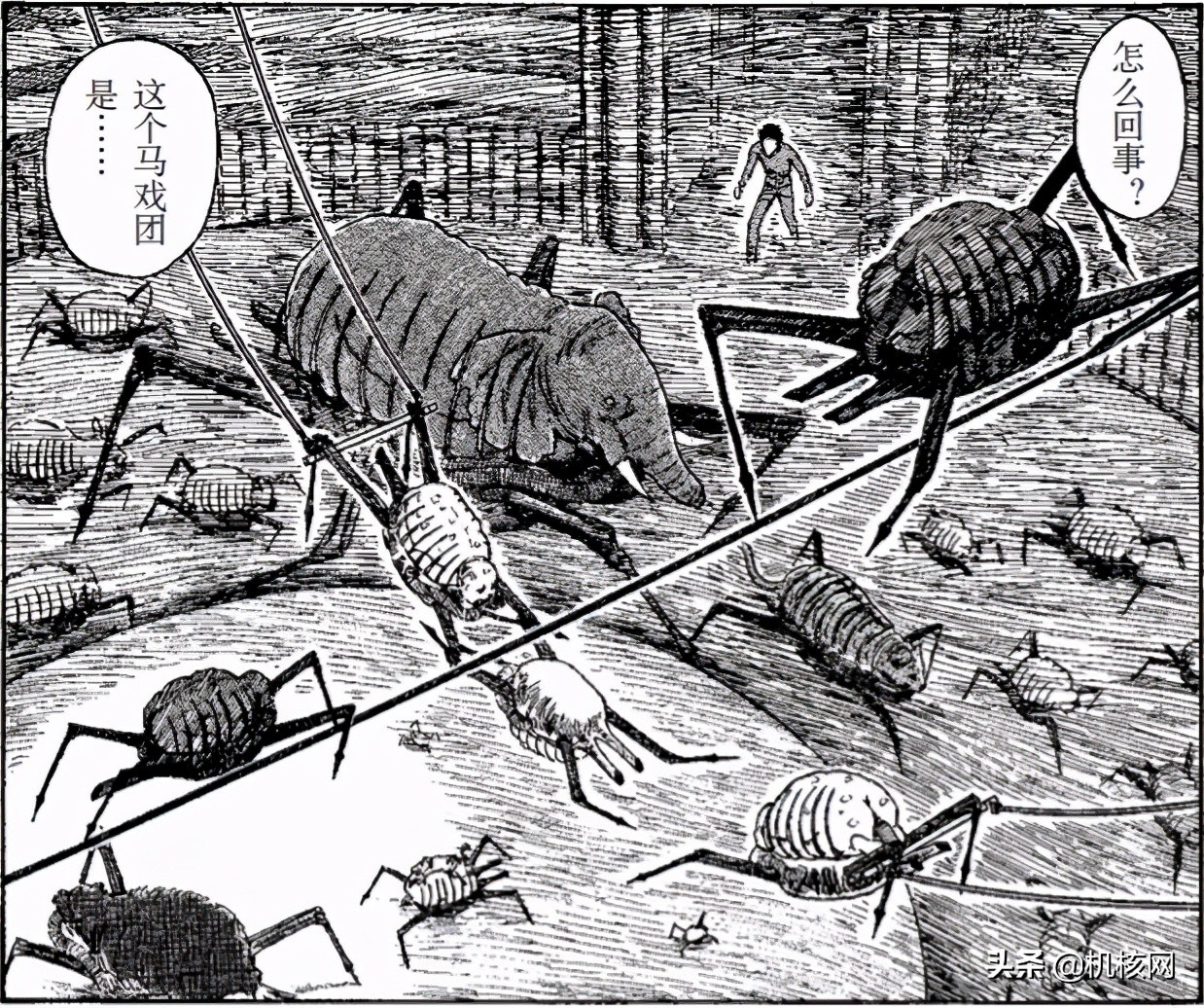 伊藤润二毛骨悚然的鱼去哪里看,伊藤润二鱼深层解析