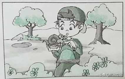 一二年级必考看图写话训练及范文,二年级看图写话写作技巧及练习